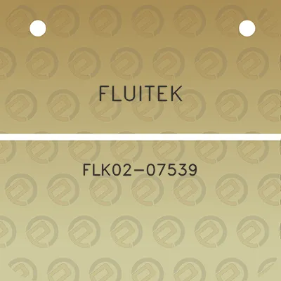 fluitek-flk02-07539