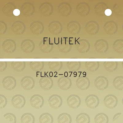 fluitek-flk02-07979