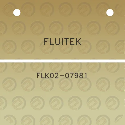 fluitek-flk02-07981