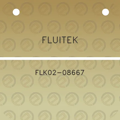 fluitek-flk02-08667