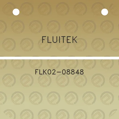 fluitek-flk02-08848