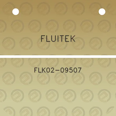 fluitek-flk02-09507