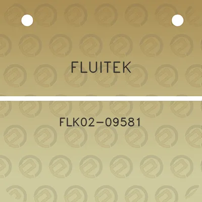 fluitek-flk02-09581