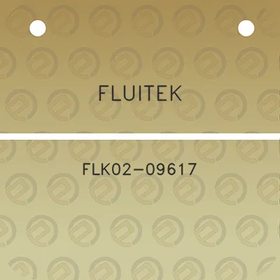 fluitek-flk02-09617