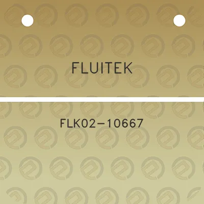 fluitek-flk02-10667