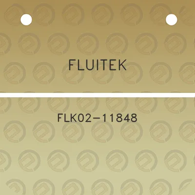 fluitek-flk02-11848