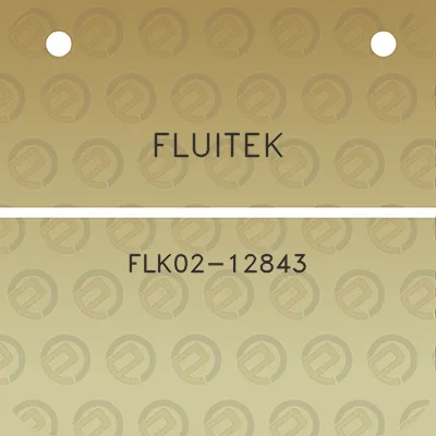 fluitek-flk02-12843