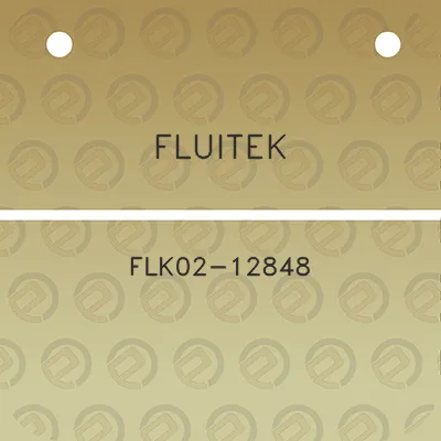 fluitek-flk02-12848