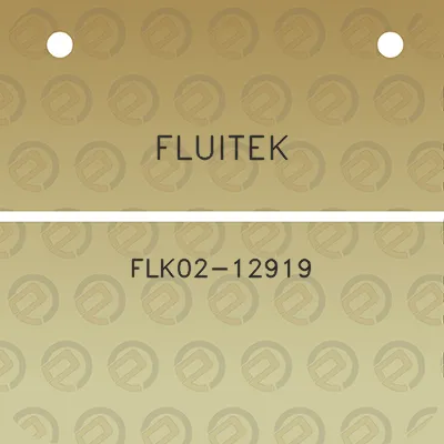 fluitek-flk02-12919