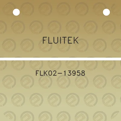 fluitek-flk02-13958