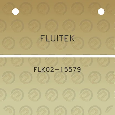 fluitek-flk02-15579