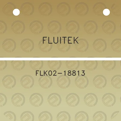 fluitek-flk02-18813