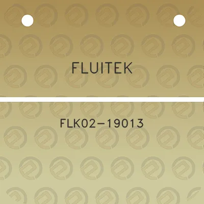 fluitek-flk02-19013