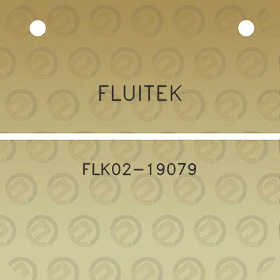 fluitek-flk02-19079