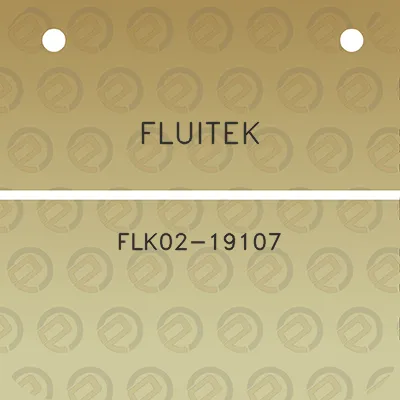 fluitek-flk02-19107