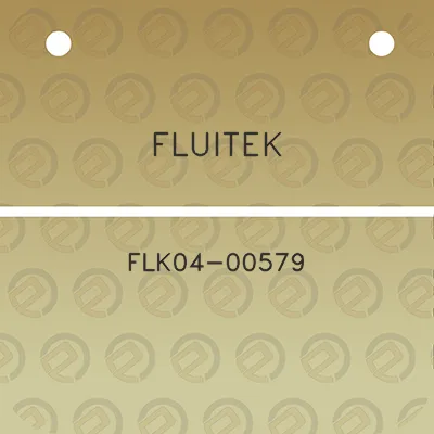 fluitek-flk04-00579