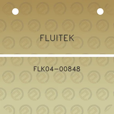 fluitek-flk04-00848