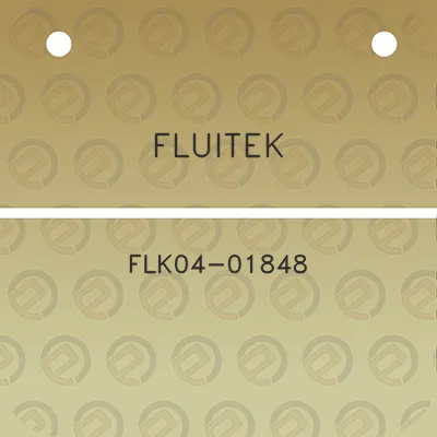 fluitek-flk04-01848