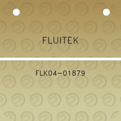 fluitek-flk04-01879