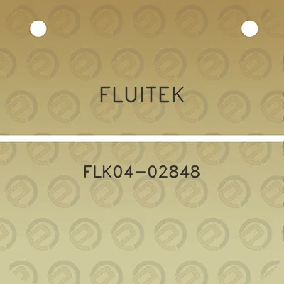 fluitek-flk04-02848