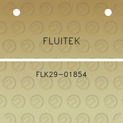 fluitek-flk29-01854