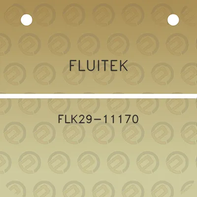 fluitek-flk29-11170