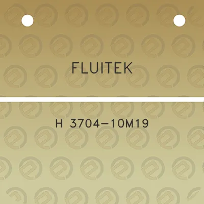 fluitek-h-3704-10m19