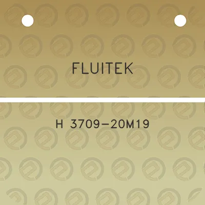 fluitek-h-3709-20m19