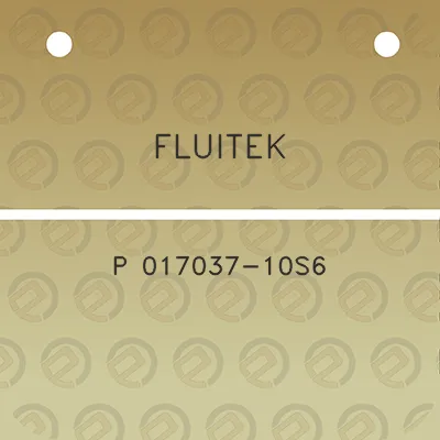 fluitek-p-017037-10s6