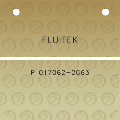 fluitek-p-017062-2g63