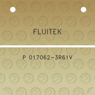 fluitek-p-017062-3r61v