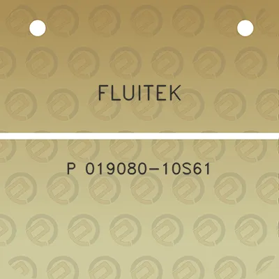 fluitek-p-019080-10s61