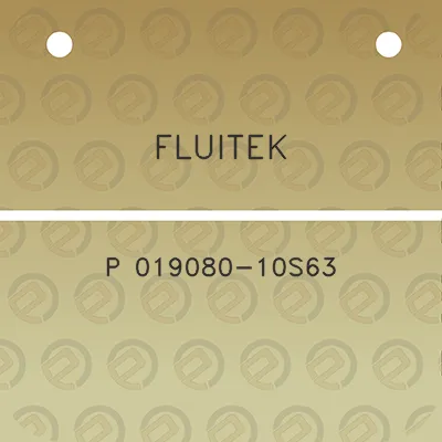 fluitek-p-019080-10s63