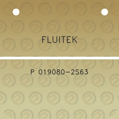 fluitek-p-019080-2s63