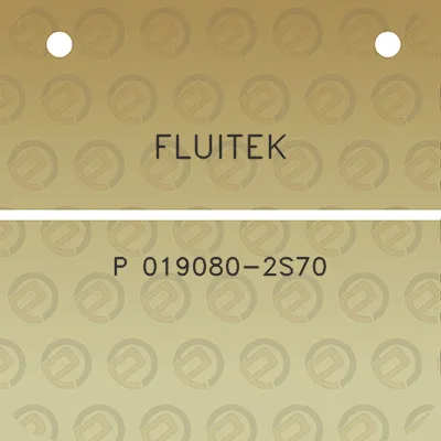 fluitek-p-019080-2s70