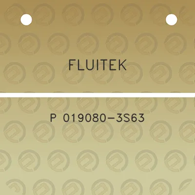 fluitek-p-019080-3s63