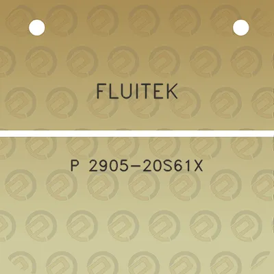 fluitek-p-2905-20s61x