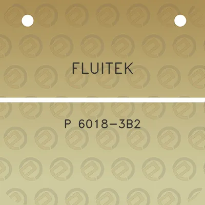 fluitek-p-6018-3b2