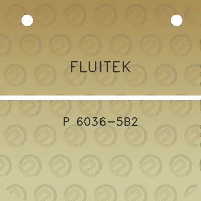 fluitek-p-6036-5b2