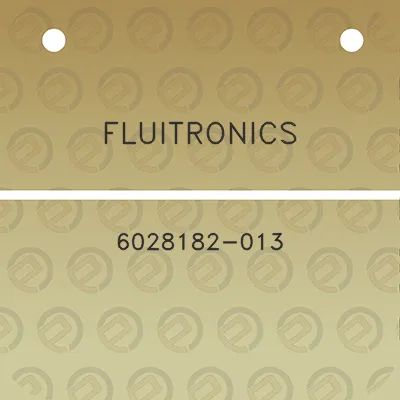 fluitronics-6028182-013