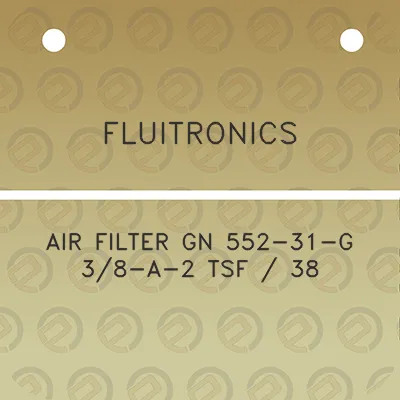 fluitronics-air-filter-gn-552-31-g-38-a-2-tsf-38