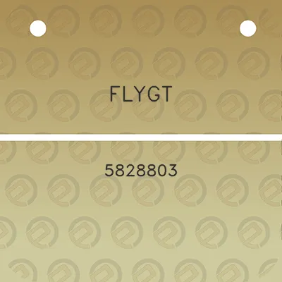 flygt-5828803