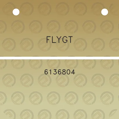 flygt-6136804