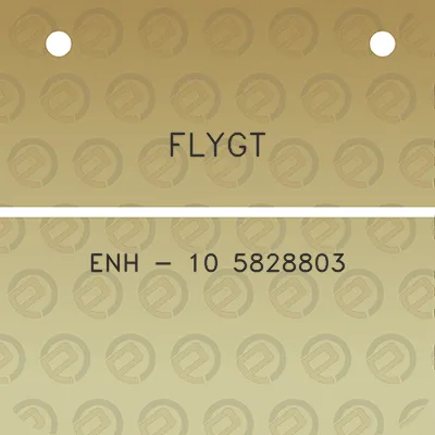 flygt-enh-10-5828803