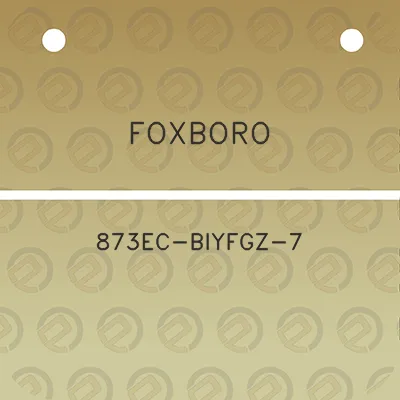 foxboro-873ec-biyfgz-7