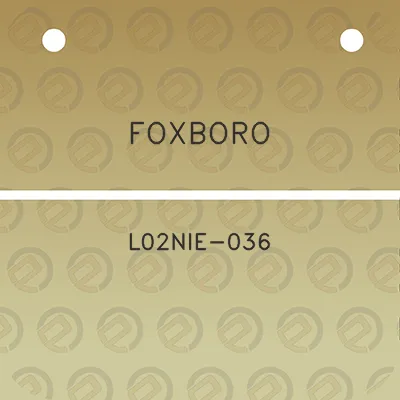 foxboro-l02nie-036