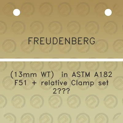 freudenberg-13mm-wt-in-astm-a182-f51-relative-clamp-set-2