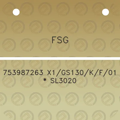 fsg-753987263-x1gs130kf01-sl3020