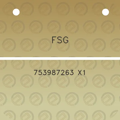 fsg-753987263-x1