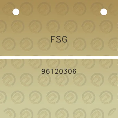 fsg-96120306